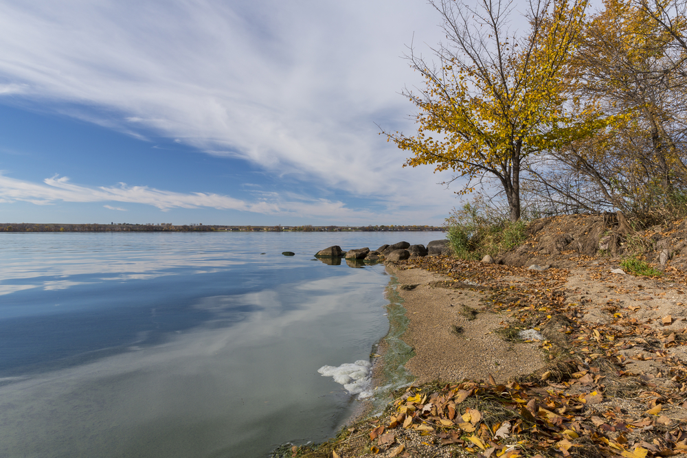 A view of the lake and shore on Big Stone Island. You can see dead leaves on the shore, trees with yellow leaves, and the lake far into the horizon. 