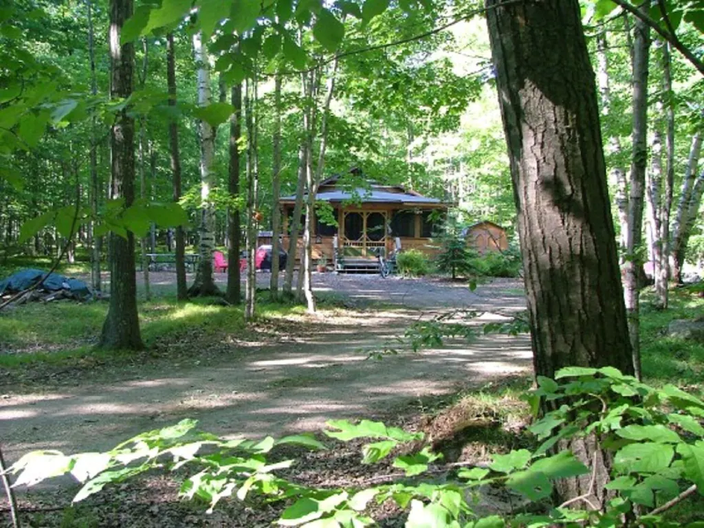 A log cabin through the trees with chairs outside in an article about cabins in Door County