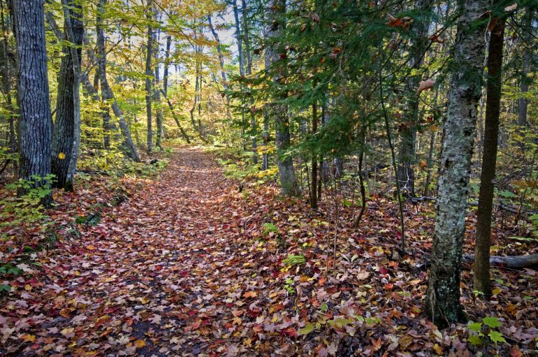 15 Epic Places for Camping in Wisconsin Midwest Explored