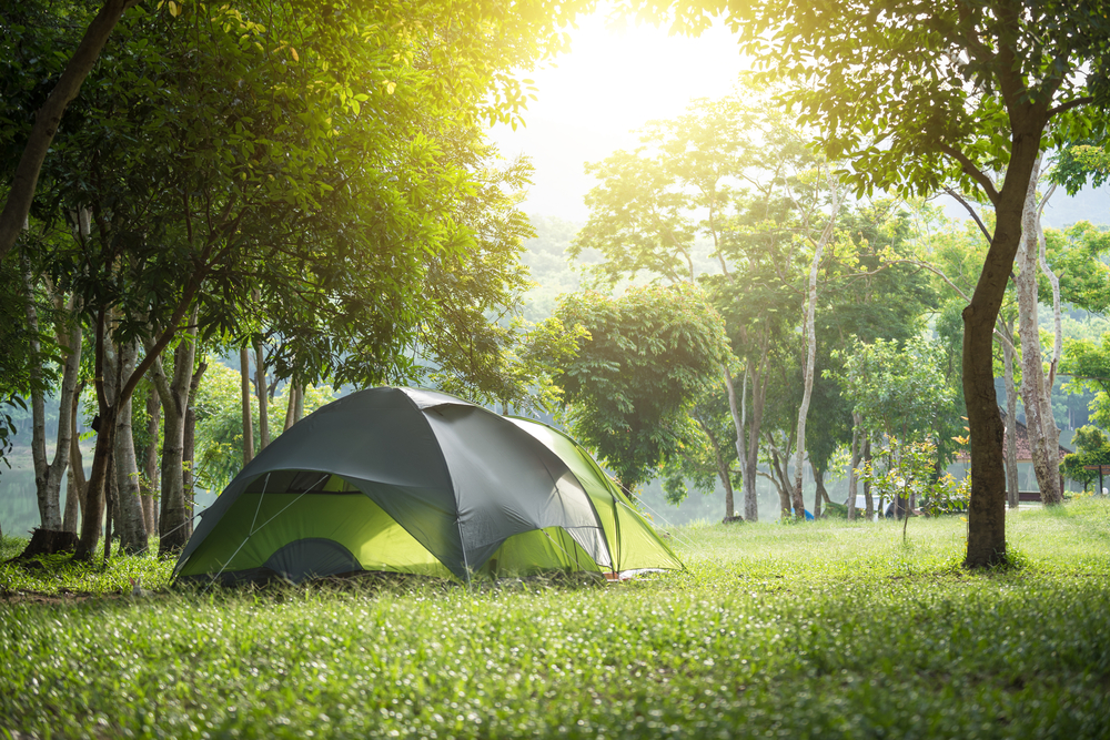 camping tent in a park