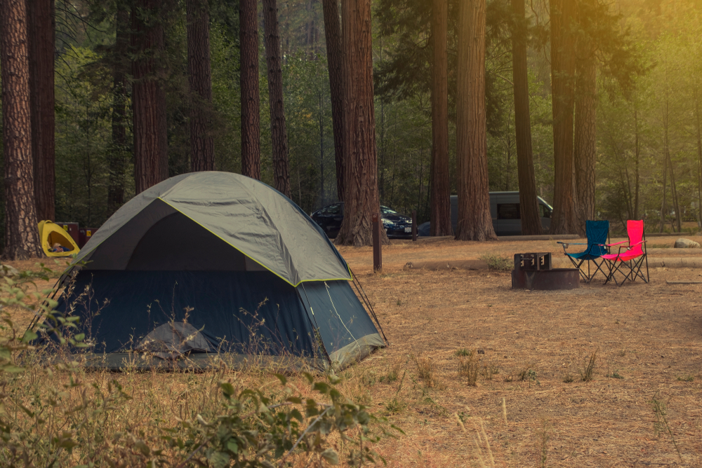 A small blue and grey tent in a sparse campsite in a dense forest. You can see other tents and vehicles in the distance. There is a firepit with camping chairs by it. 