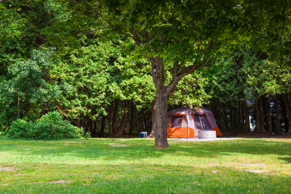 A secluded campsite in the woods near a grassy field in Michigan. There is a large orange and gray tent, a small firepit, and a cooler at the campsite. 