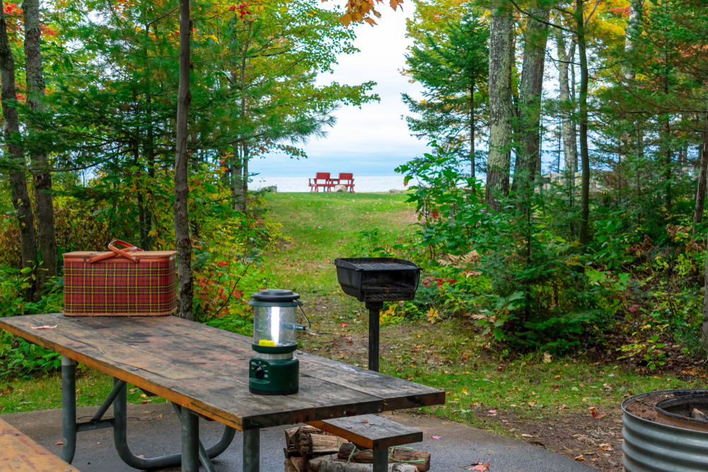 A picnic table with a basket on it in the woods. There is a parting in the trees and you can see a lake with chairs on the shore. One of the best places for camping in Michigan. 