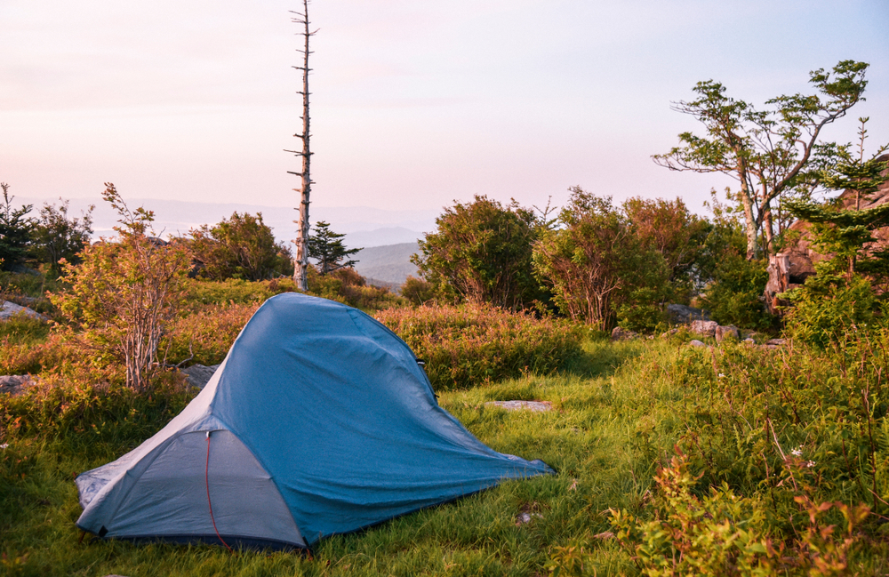 A small blue one person tent on a grassy hill that is surrounded by shrubs and small trees. In the distance you can hills. 