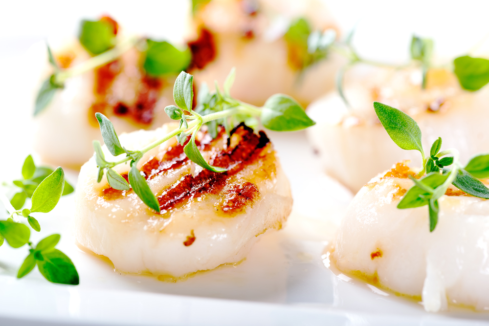 Grilled scallops on a plate with green garnish on top.