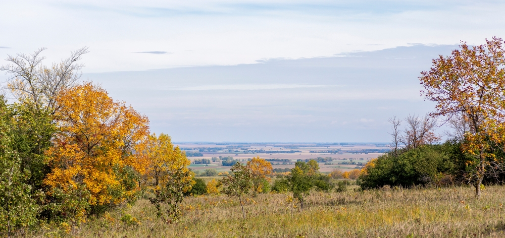 The view of prairie lands in the distance. You can see groups of trees with yellow and green leaves and tall grass. 