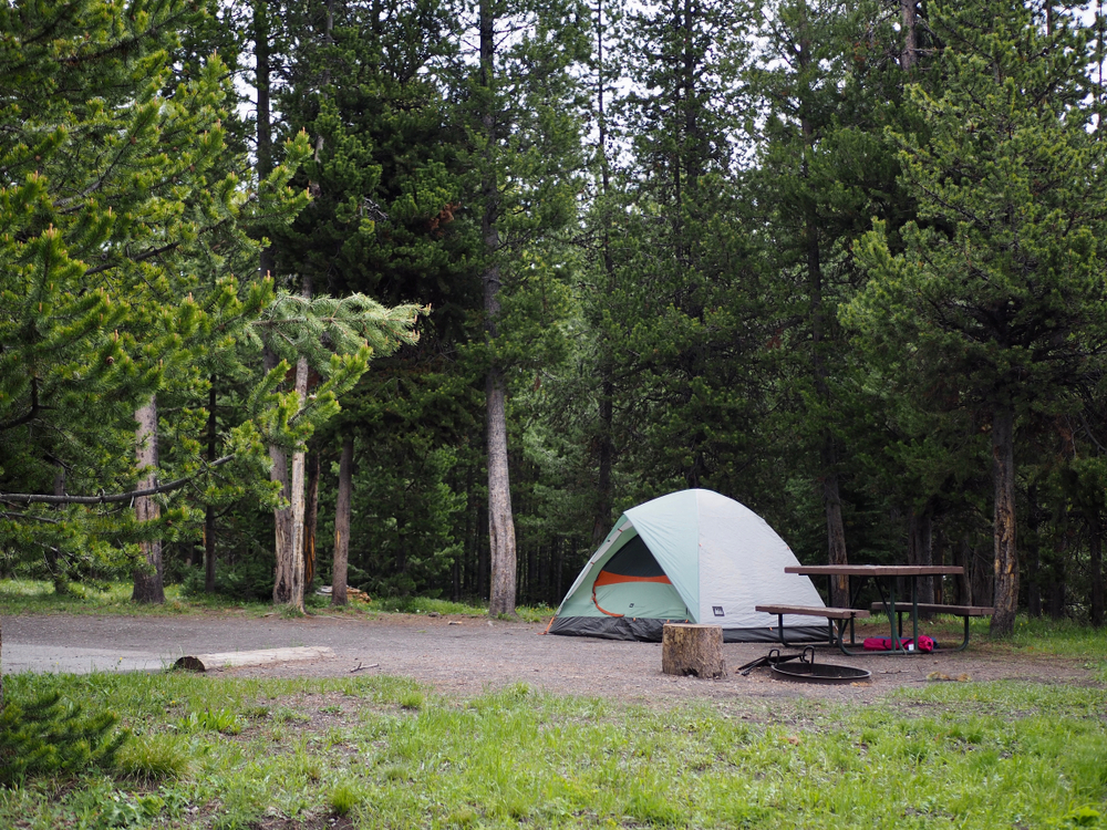 A secluded campsite with a picnic table, a firepit, and a green and orange tent. The campsite is surrounded by trees and grassy areas. 