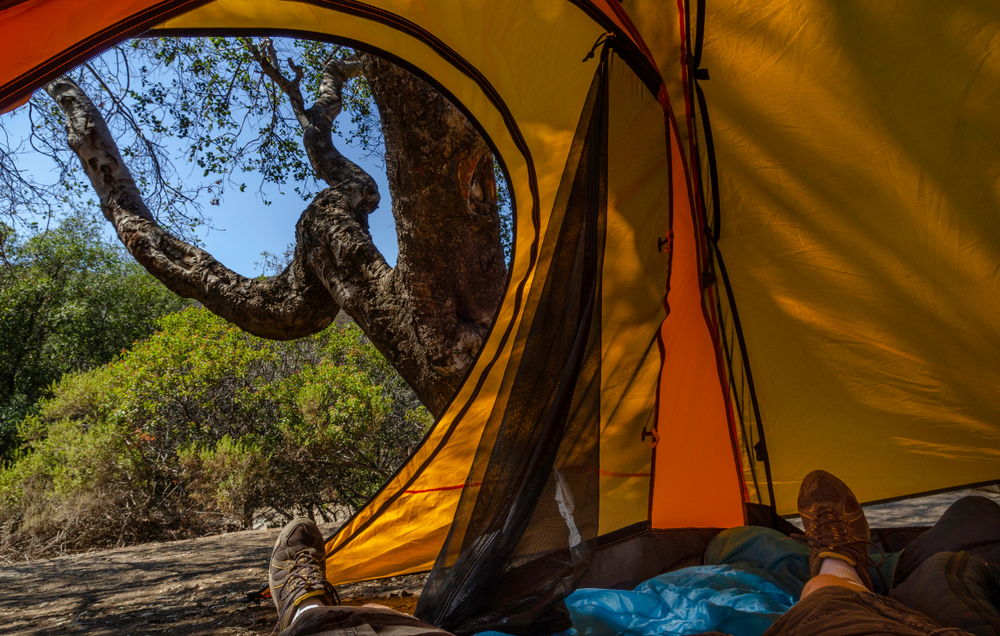 Looking at a view of shrubs and a tree from inside a yellow and orange tent. You can see someone's feet inside the tent. 