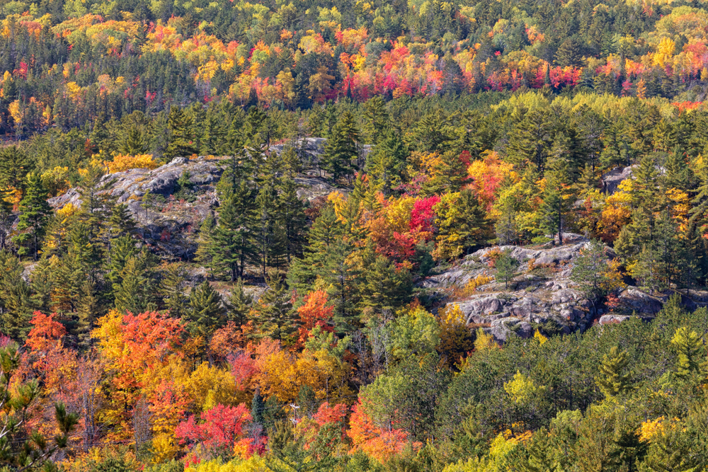 A view from the top of a mountain onto the fall colors below