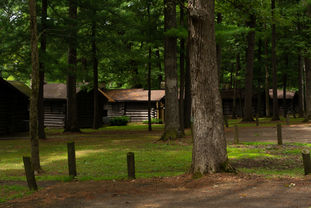 A row of log cabins with a dirt path connecting them. They are in a dense wooded area and they all have a small grassy area by them. 