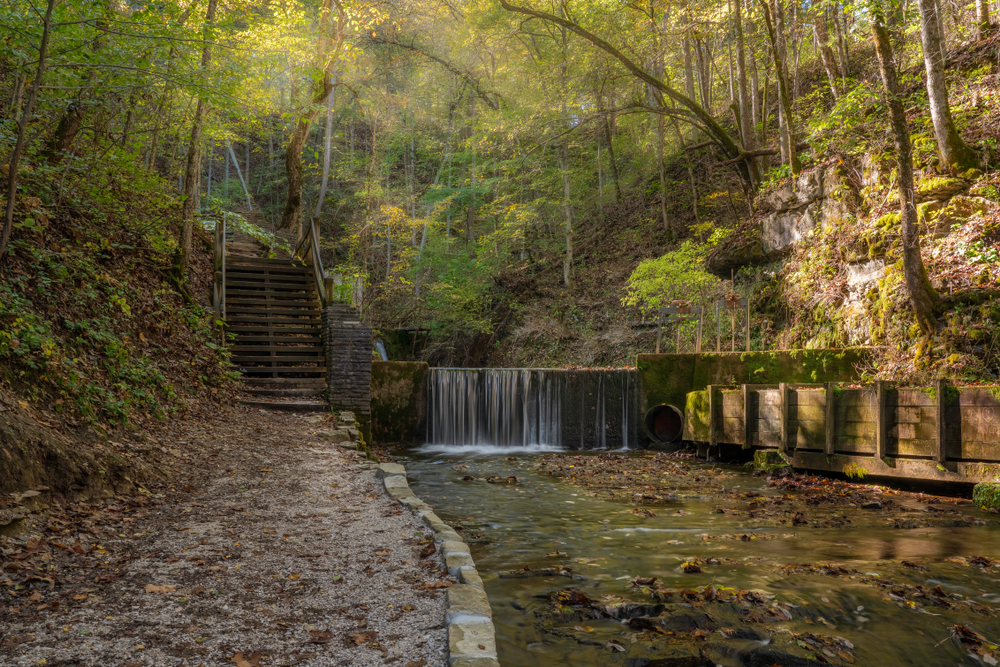 waterfall surrounded by trees with stairs on left side hiking in indiana