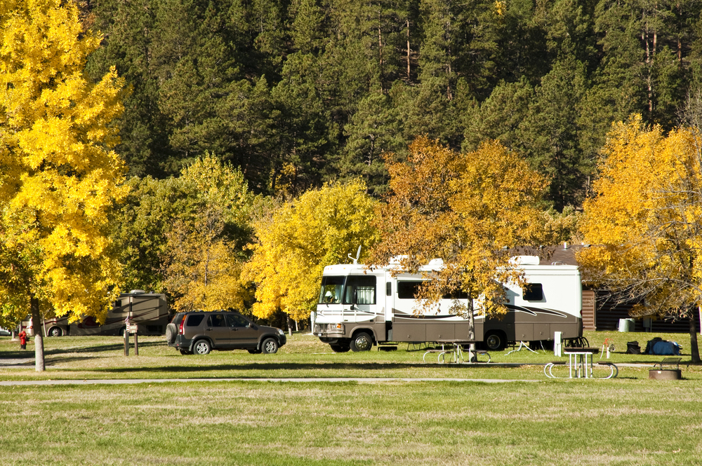 Some large RVs and a car parked in a RV campground. The campground is surrounded by a dense forest with trees with yellow and green leaves. One of the best places for camping in South Dakota. 