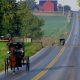 amish buggies on the road