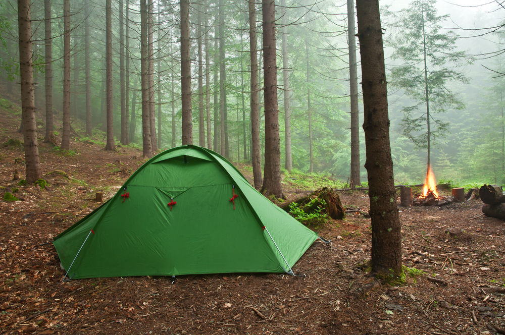 A green tent in the middle of a misty forest. There is a bonfire near the tent. One of the best places for camping in Ohio.