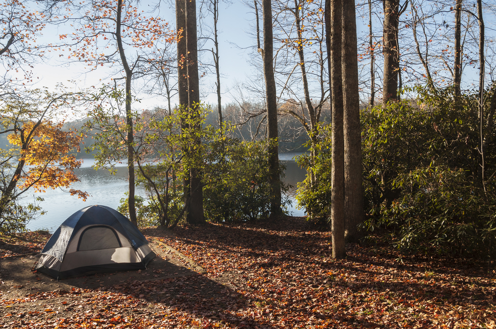A tent in the woods on the side of lake. The trees barely have any leaves and there are dead leaves on the ground. So you have a good view of the lake. 