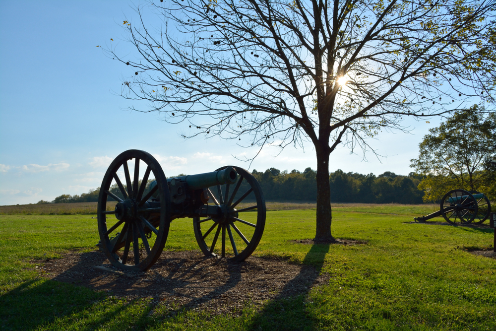 A cannon under a tree standing in a filed at Wilson Creek Battlefield one of the things to do in Springfield MO
