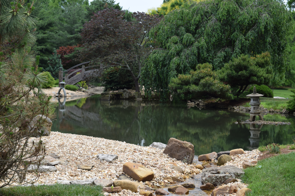A Japanese garden with a bridge over the water and tress around a pond. Visiting here is one of the things to do in Springfield MO