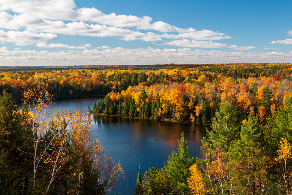 Overlooking the Manistee River Trail with pretty fall foliage.