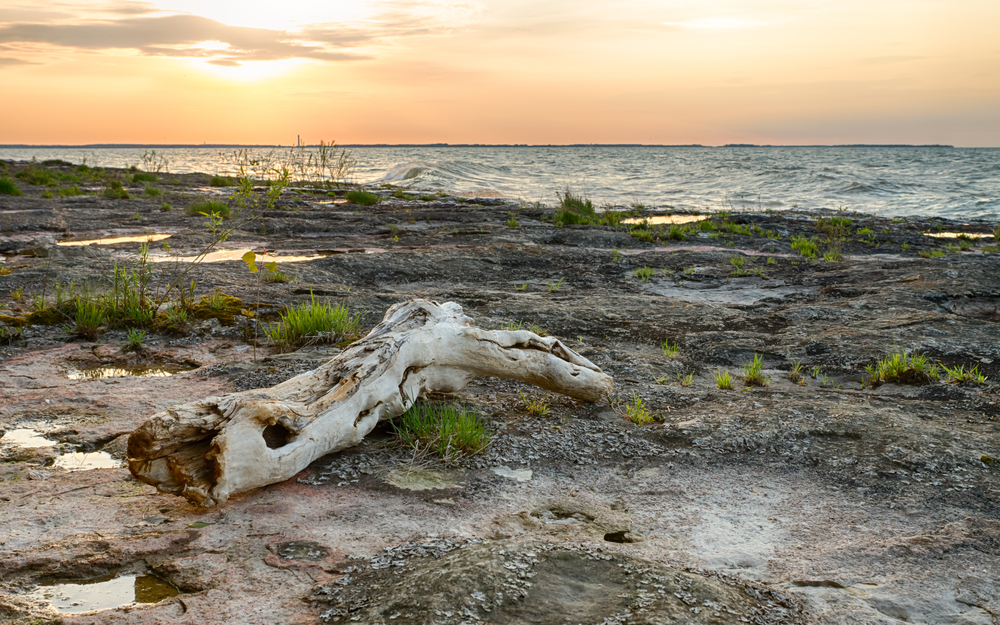 View from one of the islands in Ohio featuring a driftwood log on a rocky shore with a pretty sunset sky overhead.
