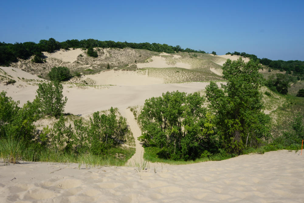 A trail through the sandy dues of Great Warren Dune Trail.