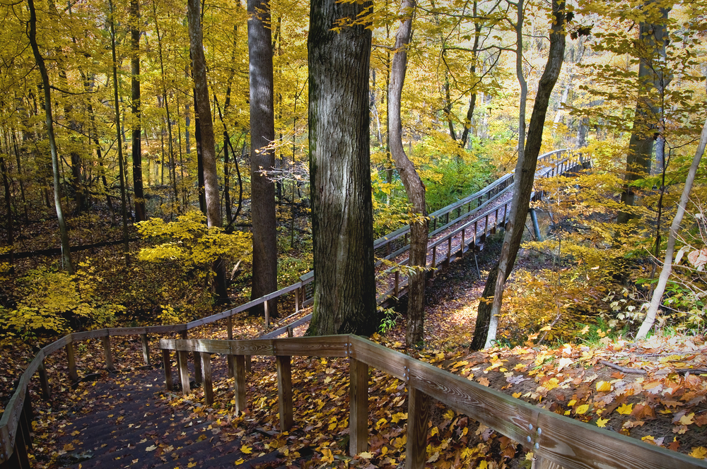 A twisting staircase going through the Warren Woods State Park in autumn.