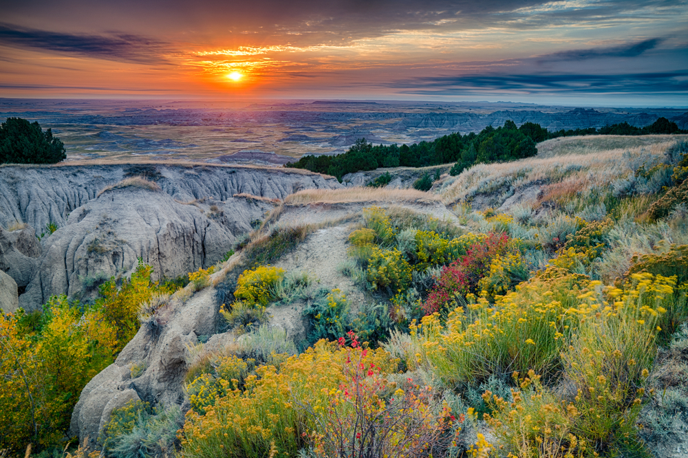 A view of sunrise at Badlands National Park in South Dakota. You can see rock formations, grasses, and yellow and red flowers. 