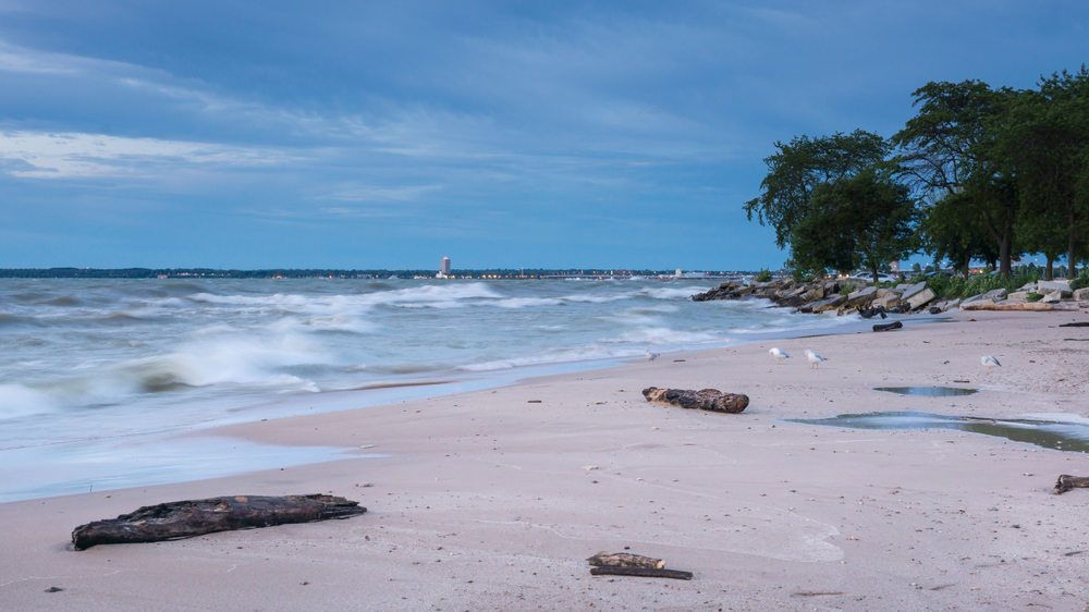 Beautiful stretch of beach with driftwood on and buildings in the background