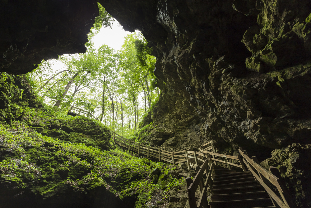 The view looking out of a massive cave. There are wooden steps leading to the mouth of the cave and the stone is covered in moss. One of the best places to visit in the Midwest. 