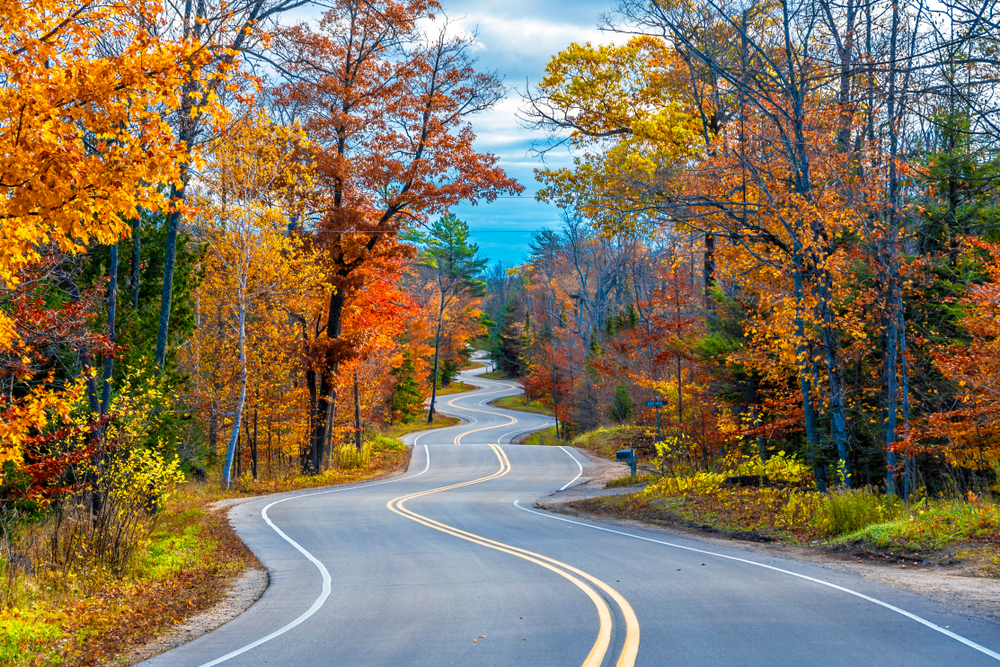 A long windy road in the fall. The road is surrounded by trees with leaves changing colors. The leaves are yellow, orange, red, and green. 