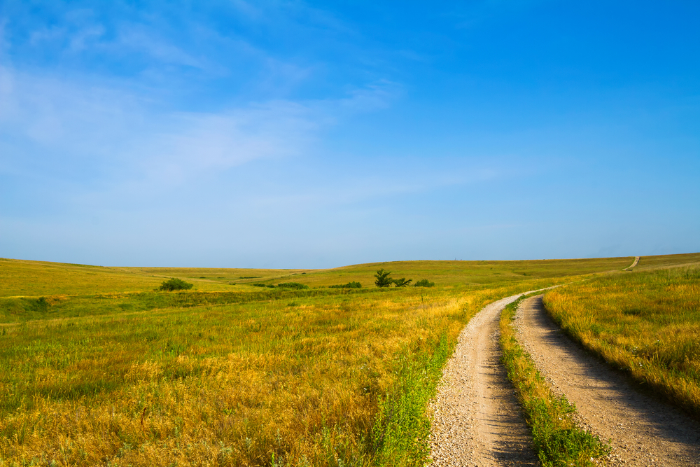 A trail that is winding through a meadow in with short grass in Kansas. 