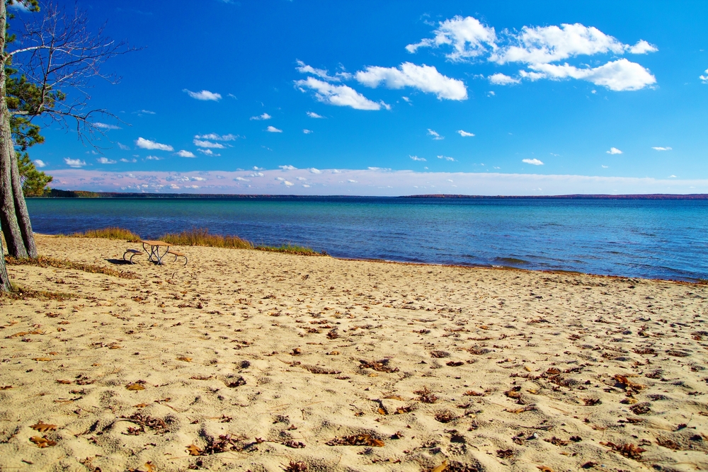 A sandy beach on a bright sunny day. You can see the bright blue lake and there is a picnic table on the shore, located in one of the best state  park beaches in Michigan.