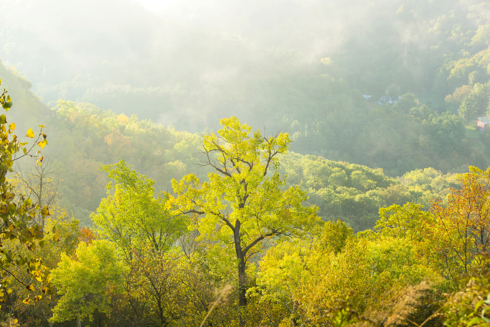 View of the forest below with fog lingering in an article about hiking in Wisconsin