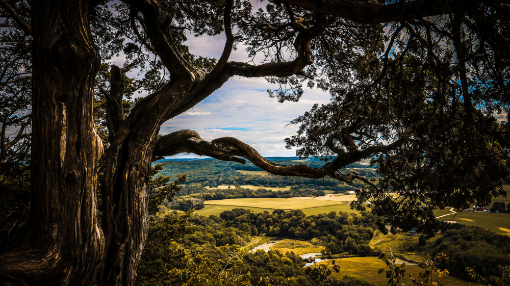 View through a tree looking over a beautiful valley in  Gibraltar Rock State Natural Area 