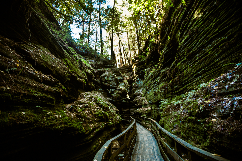 View of a wooden broadwalk through a canyon  with stepped sides in an article about hiking in Wisconsin 