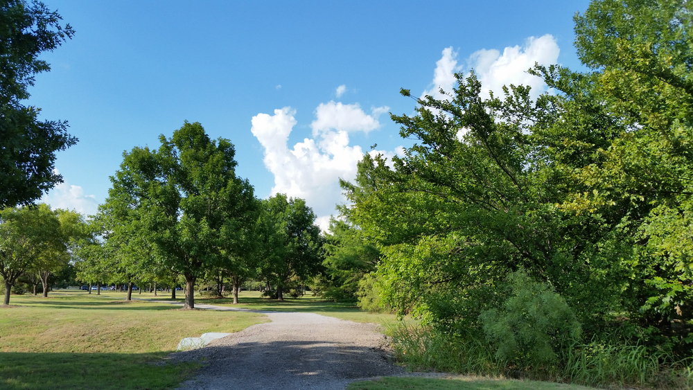 A park with a wide trail going through meadows and areas with trees, similar to parks in Wichita Kansas. 