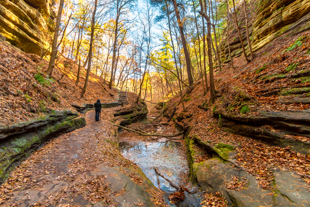 A fall day in the French Canyon with a figure walking along the trail in the woods with autumn fallen leaves covering everything on one of the best hikes in Illinois.