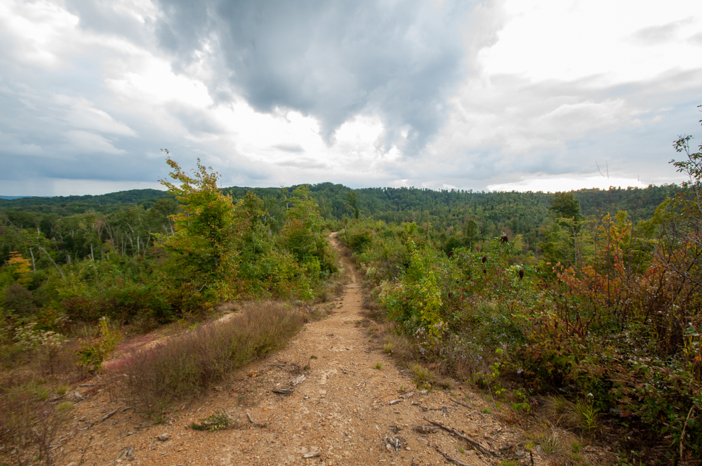 View of the dirt trail winding through green foliage. Best hiking in the Midwest.