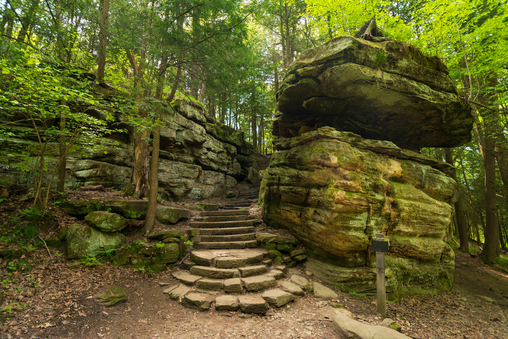 A stone staircase going up between two rock bluffs in a forest. 
