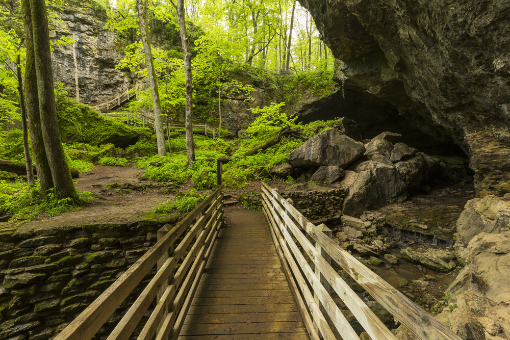 A wooden bridge on a trail next to a rocky area in a forest while hiking in Iowa.