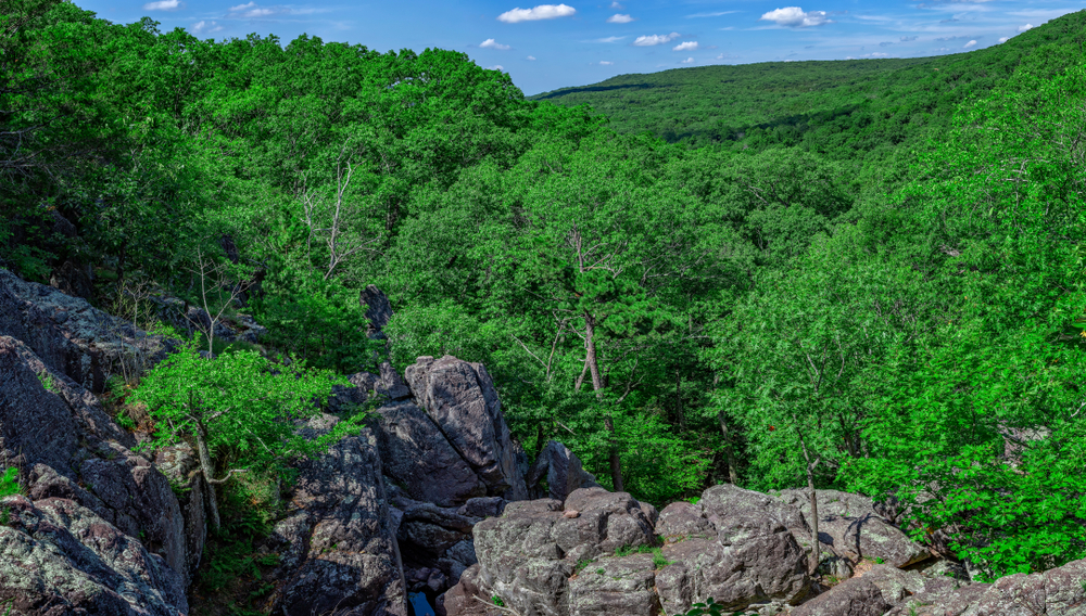 Overlooking vivid, greed trees and rocky bluffs during hiking trails in the US.