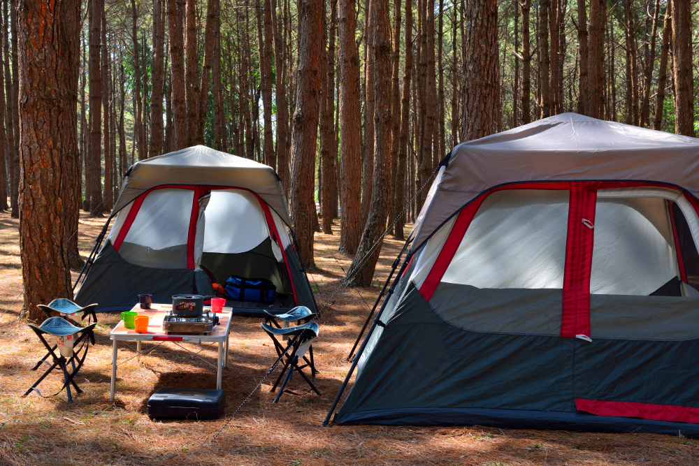 tents with desk surrounded by trees 