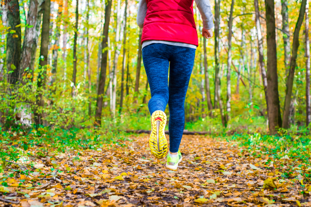 A low angle shot of a woman running on a trail through autumn trees. South Bend activity