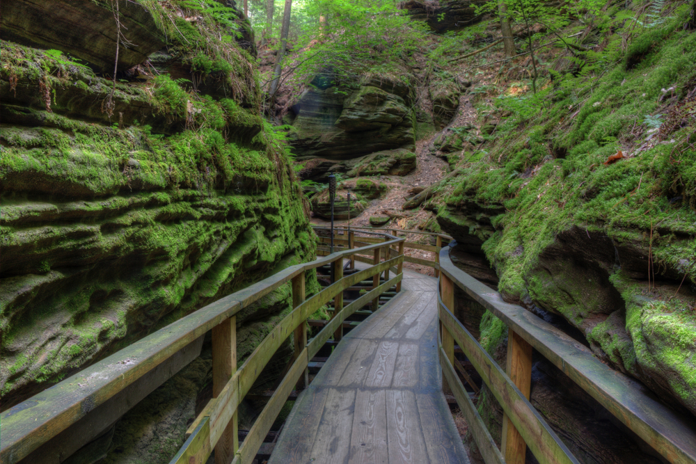 A twisting, wooden boardwalk goes through a mossy canyon during hiking in the Midwest.