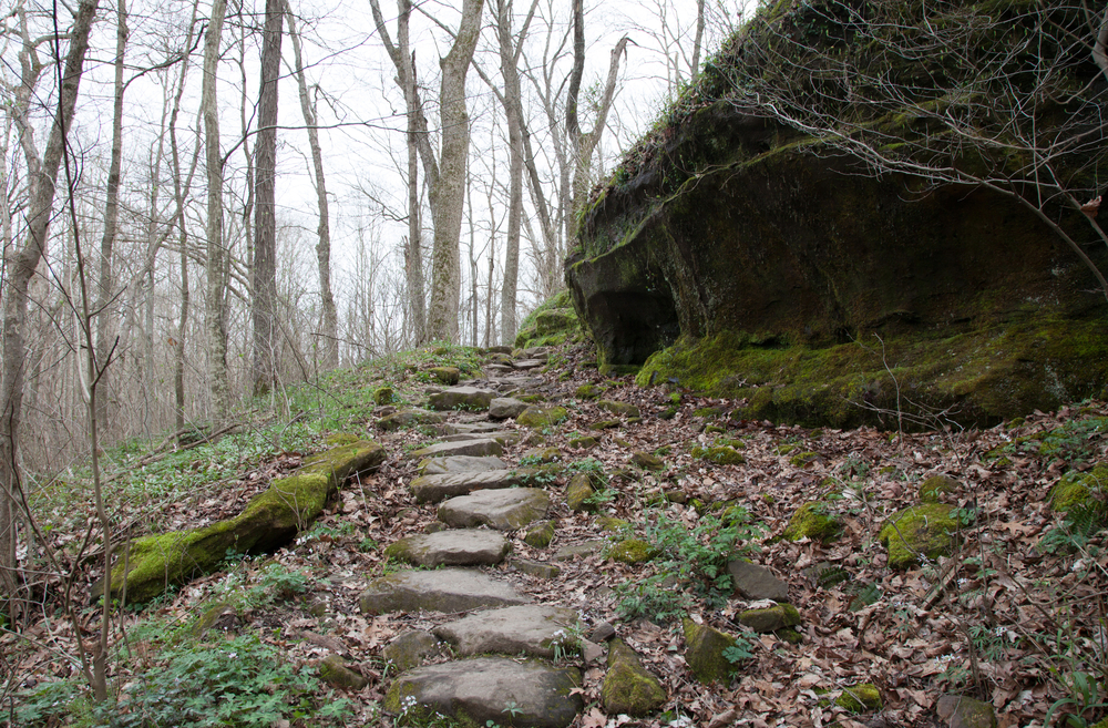 A stone path leading up the side of a hill where there are other larger rock formations. It is in a wooded area but the trees have no leaves and there are dead leaves on the gorund. 