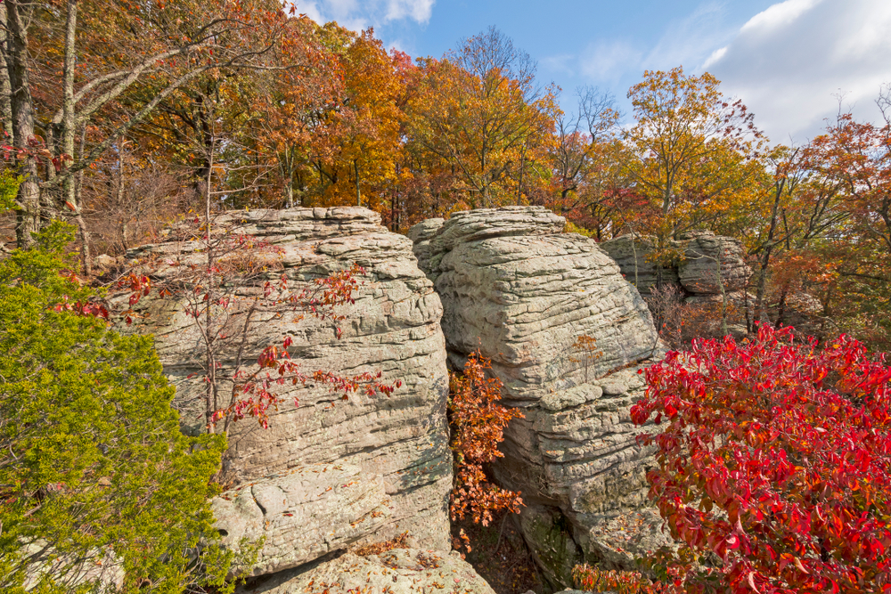 Overlooking large rocky bluffs on the side of a mountain. The bluffs are surrounded by trees with yellow, red, orange, and some green leaves on a sunny day. 