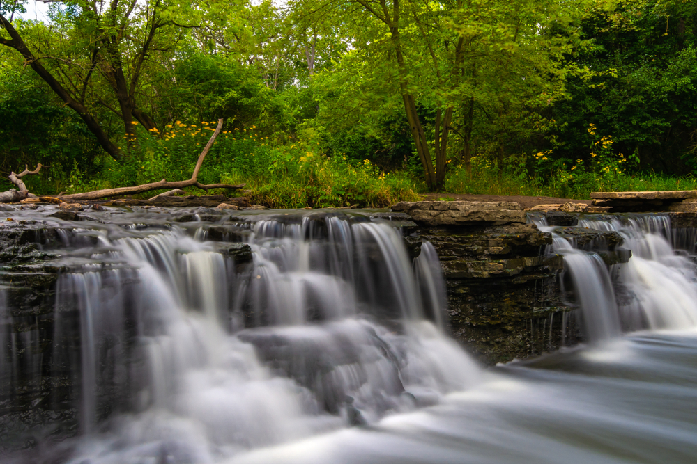 A wide rocky waterfall with wildflowers and trees surrounding it. A view you'll see while hiking in Illinois. 