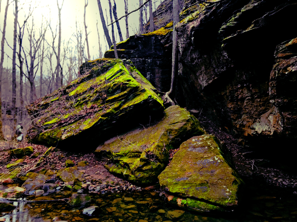 A large rock formation by a stream covered in moss. It is surrounded by trees with no leaves. It's one of the best places for hiking in Illinois. 