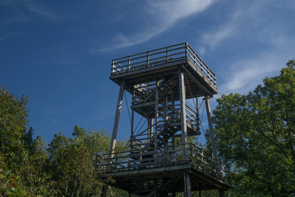 Wooden observation tower with the trees around it at a Wisconsin state park.