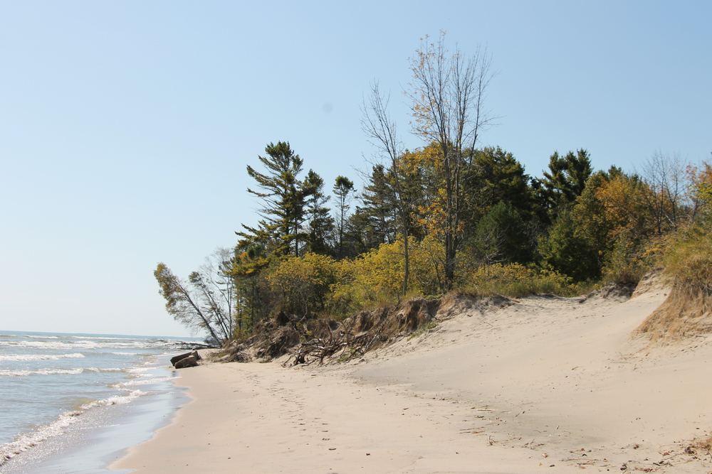 Sandy beach with sand dunes and trees one of the state parks in Wisconsin