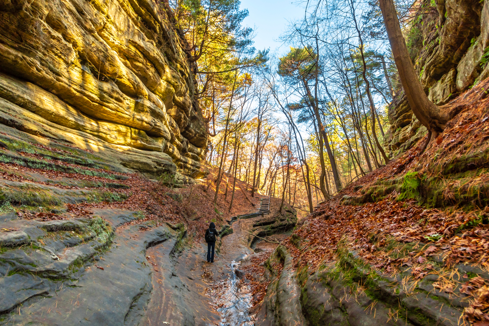 A person hiking through canyons on rough path. The canyon is full of dead leaves, moss, and trees. It's one of the coolest places for hiking in Illinois. 